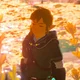 Link