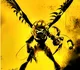 V - MD 