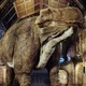Diplodocus