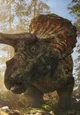 Triceratops horridus