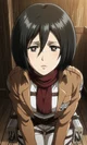 Mikasa Ackerman 