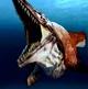 Platecarpus