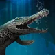Suchodus