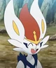 Cinderace 