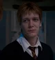 Fred G Weasley 