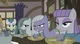 The Pie Family
