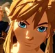 Link