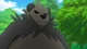 Pangoro