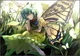 Eternity Larva