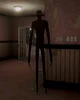 Entity-Kitty 