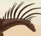 Bajadasaurus