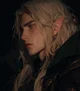 Elven prince