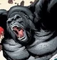 Gorilla Grodd
