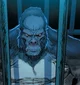 Gorilla Grodd