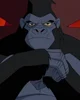 Gorilla Grodd