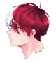 Shoto Todoroki 