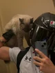 hot man X your cat