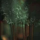 Jinhui - BL