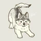 A dog