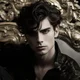 Cardan Greenbriar