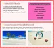 VOCALOID Beach Trip