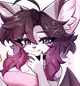 Siwiko 