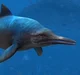 Platypterygius