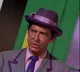 Louie The Lilac