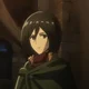 Mikasa Arkeman