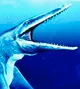 Goronyosaurus