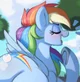 Rainbow Dash
