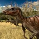 Orodromeus