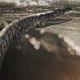 Nothosaurus