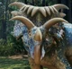 Kosmoceratops