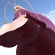 Pheromosa gigantic