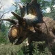 Xenoceratops