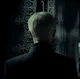 HP - Draco L Malfoy