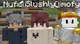 The Wisp SMP -MC