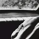 Dean - BL