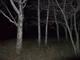 Creepypasta RPG