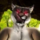 Female Cougar