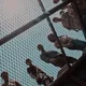 The Maze Runners
