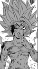 Majin Son Bra