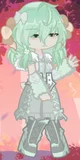 Tiramisu Terra