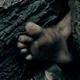 Tree Roots Trap