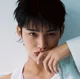Kim Mingyu