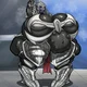 Sangheili Wife