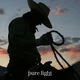 Wild West Bandit