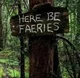Fae family