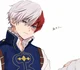 Shoto Todoroki 